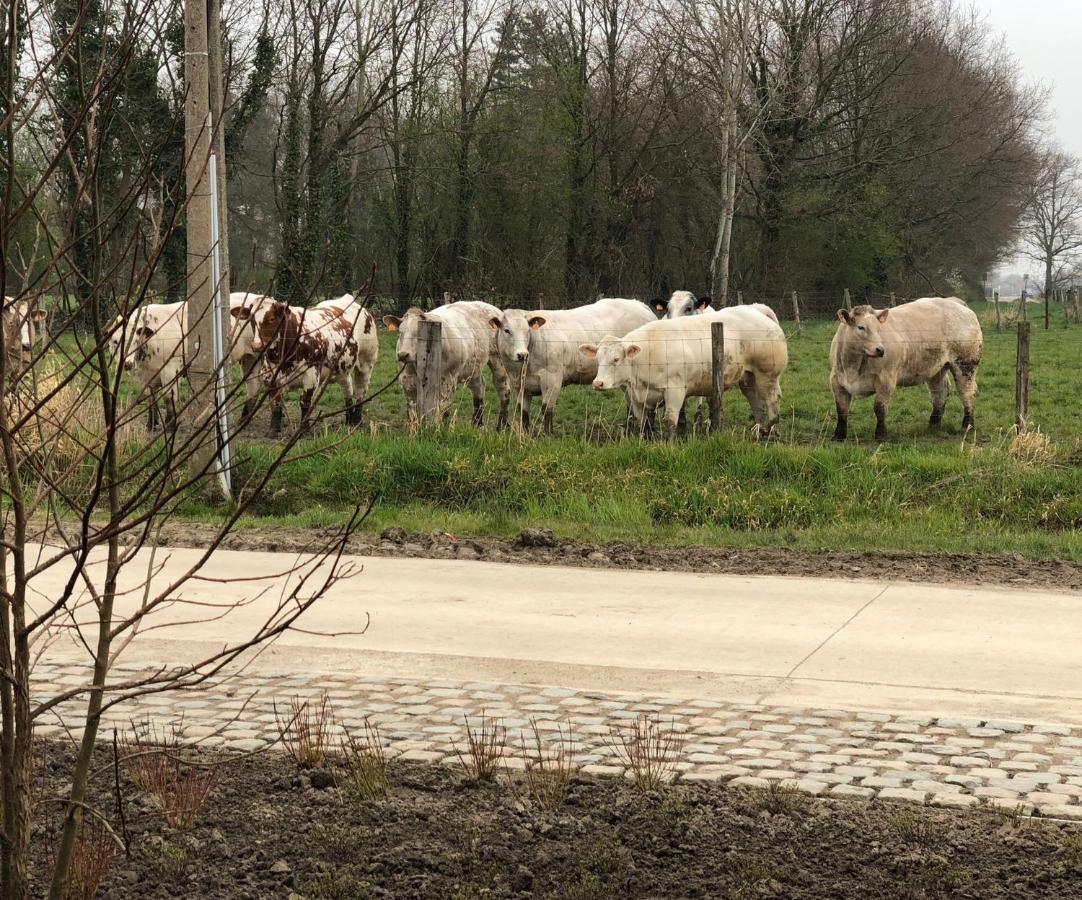 De Betze - Country Life Vila Geetbets Exterior foto